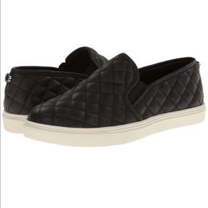 Steve Madden Women's Ecentrcq